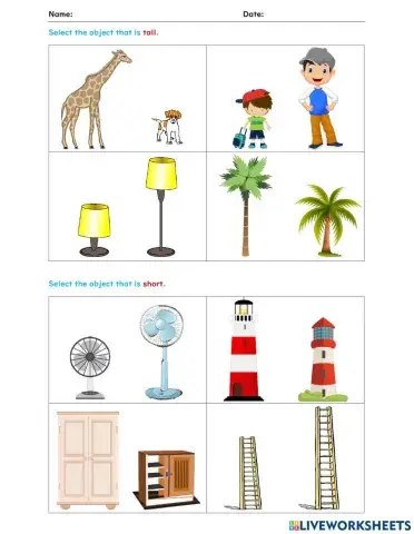 Pre Numbers : Size (Tall and Short)