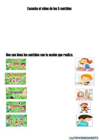 Los 5 sentidos