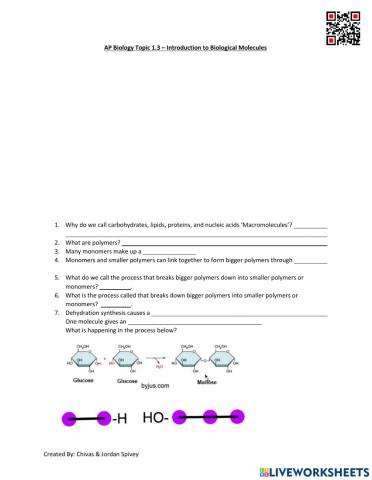AP Biology Topic 1.3 - Introduction to Biological Molecules