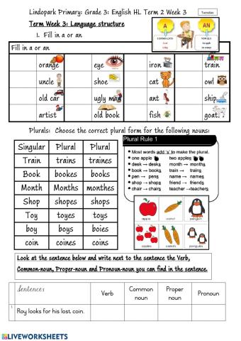 Grade 3 English HL Term 3 Week 13  Phonic oi Worksheet 2
