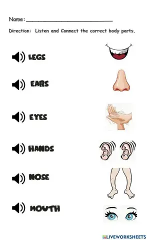 Body Parts