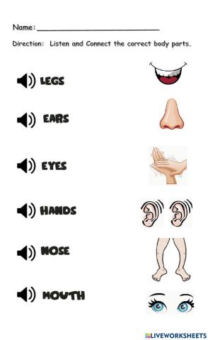 Body Parts