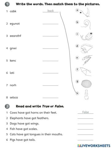 Vocabulary, Mythical beasts