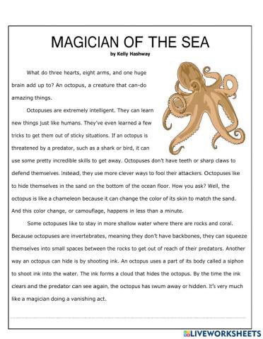 Know about Octopus