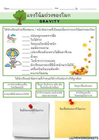 ผลของแรงโน้มถ่วง