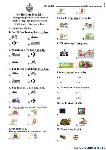 Các loại phương tiện