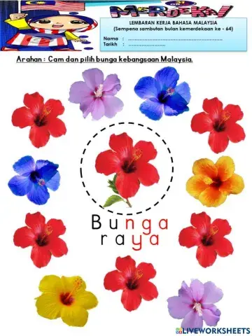 Bunga raya