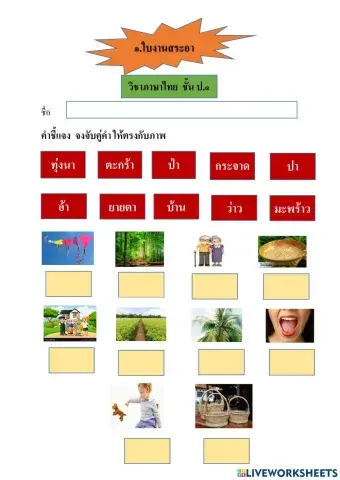 ใบงาน สระอา ป.1