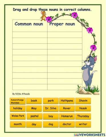 common nouns and proper nouns