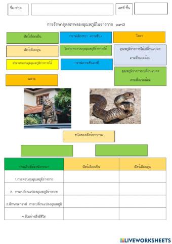 การรักษาอุณหภูมิในสัตว์