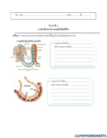 ใบงานที่ 2 การลำเลียงสารผ่านเซลล์