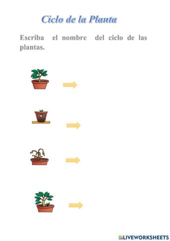 Ciclo de vida de las Plantas