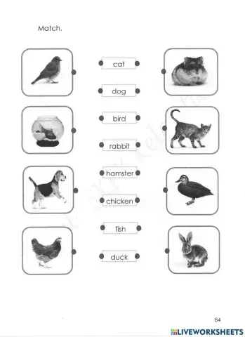 My Pet Pendidikan Khas (Learning Disability)