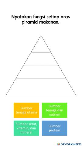 Pk t4 - piramid makanan