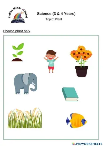 3 & 4 Years: Science (Plants)