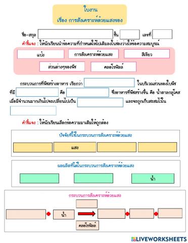 การสังเคราะห์แสงของพืช