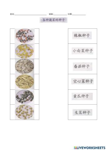 设计与工艺六年级