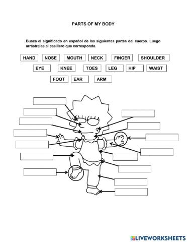 My body parts (Lisa Simpson)