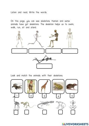 Super Minds page 102