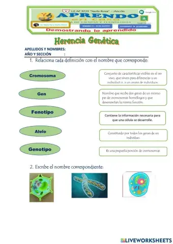 Herencia genética