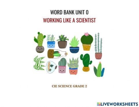 Word bank unit 0 - working like a scientist