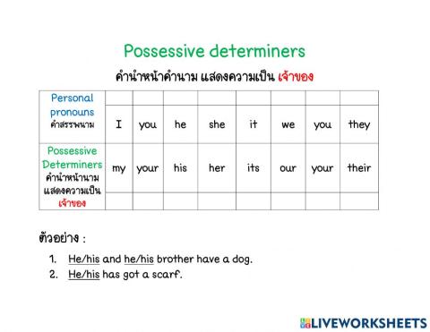 Possessive determiners