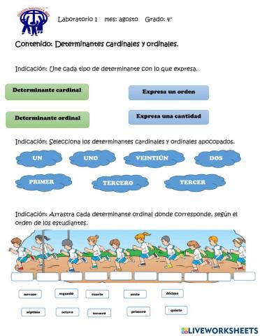 Determinantes numerales: cardinales y ordinales