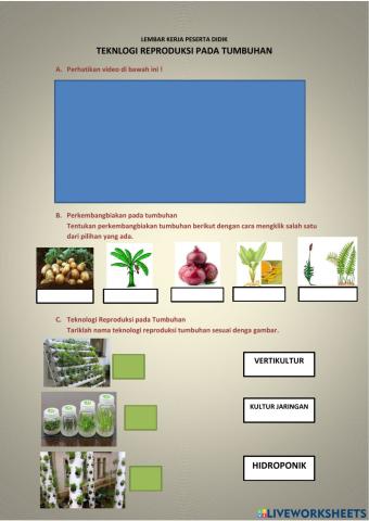 Teknologi Reproduksi Tumbuhan