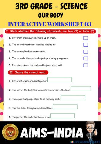 3rd-science-ps03-our body