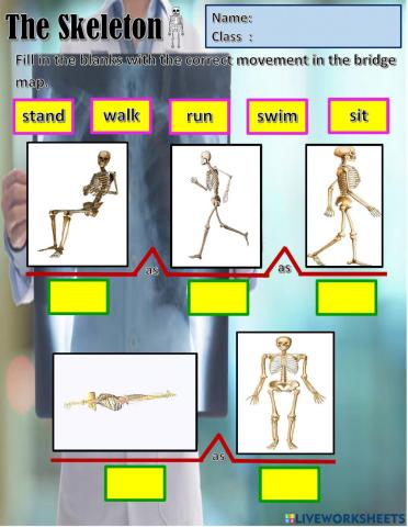 Year 2 Unit 8 The Robot