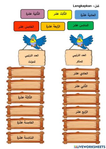 العدد الترتيبي 11-19