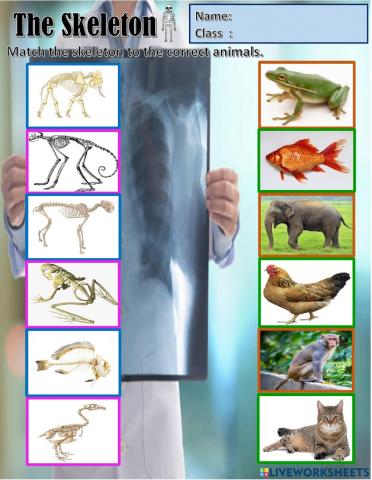 Year 2 Unit 8 The Robot