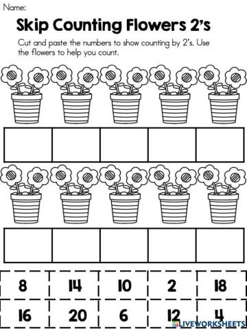 Skip Counting by Two's