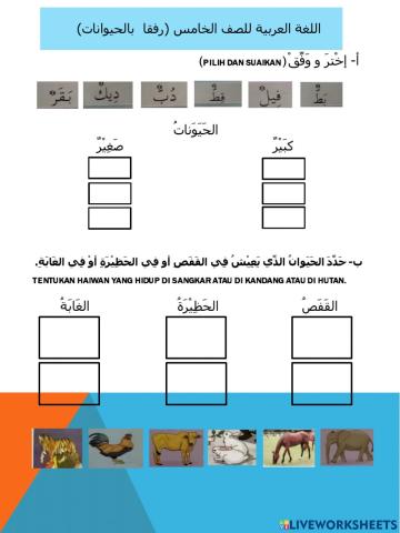 رفقا بالحيوانات