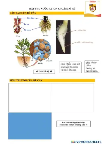 Bài 1. sinh học 11