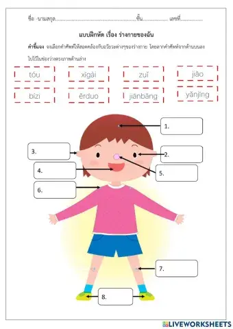 แบบฝึกหัด เรื่อง ร่างกายของฉัน 我的身体