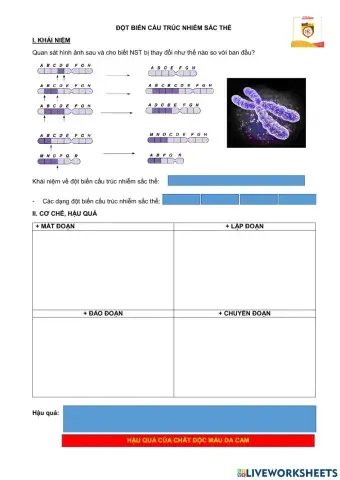 Đột biến cấu trúc nst