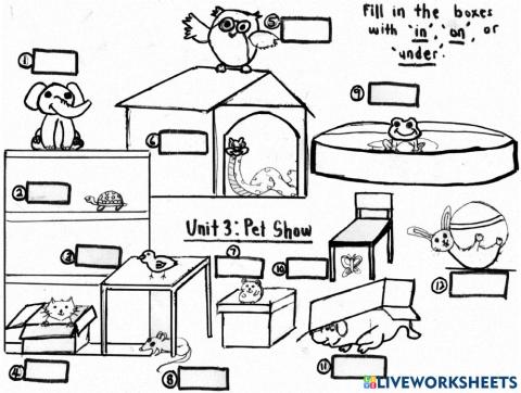 Unit 3: pet show