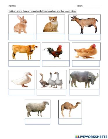 Mengecam nama haiwan jinak