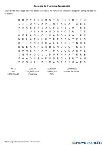 Animais da Floresta Amazônica