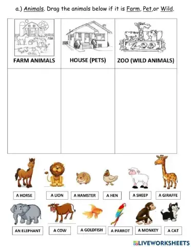 Farm,Pet, and Wild Animals