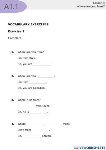 A1.1 - Lesson 4 - Vocabulary exercise