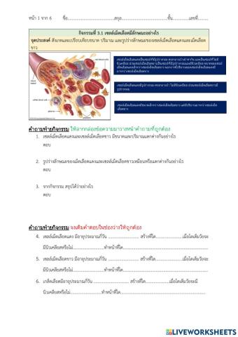 Liveworksheets ระบบหมุนเวียนเลือด 1