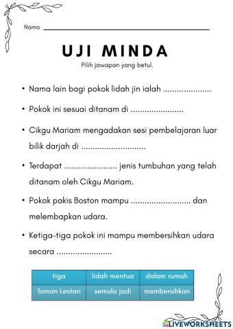 Penapis Udara Semula Jadi