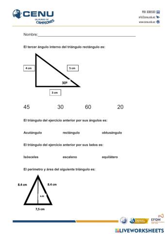 Triángulos ángulos internos y externos