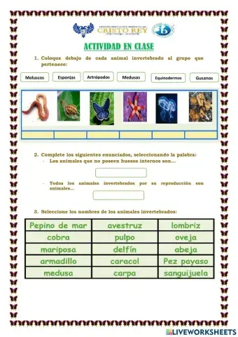 Los animales invertebrados