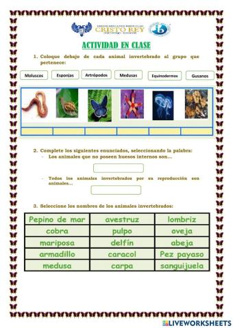 Los animales invertebrados