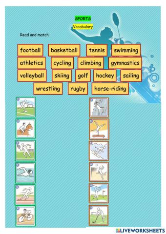 Sports Vocabulary