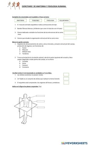 Ejercitario de Anatomía y Fisiología Humana.
