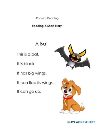 Bat Story
